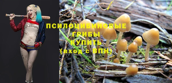 гидра Баксан