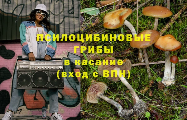 гидра Баксан