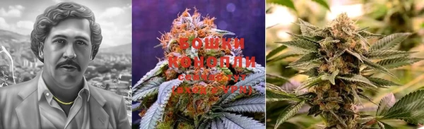 прущие крисы Заволжье