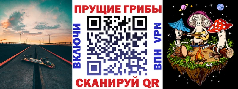 Псилоцибиновые грибы GOLDEN TEACHER  Баксан 