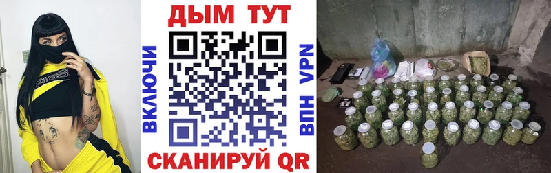 Канабис семена  Баксан 